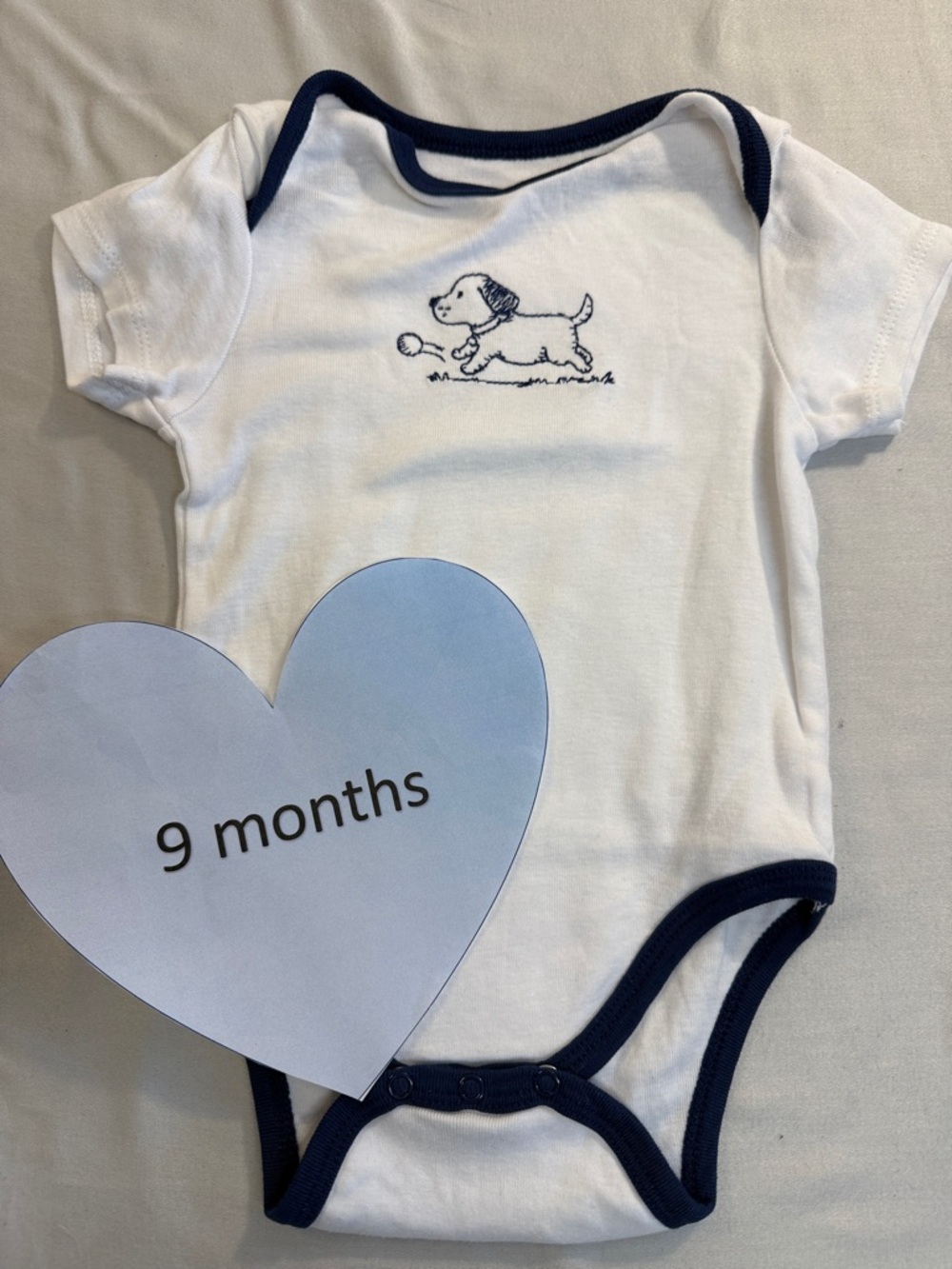 Little Me - Short sleeve White & Navy Bodysuit onesie/top with dog design